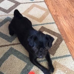 Meet your Posher, Bryan